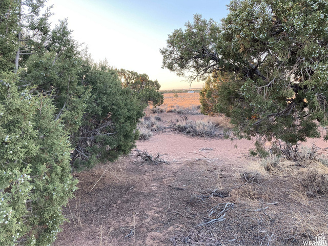 See Directions, Unit 5 Duchesne, UT 84021 - Photo 5 of 10 View of local wilderness with rural landscape