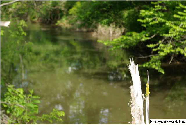 Shoal Creek Road, Unit 56 Ashville, AL 35953 - Photo 16 of 21