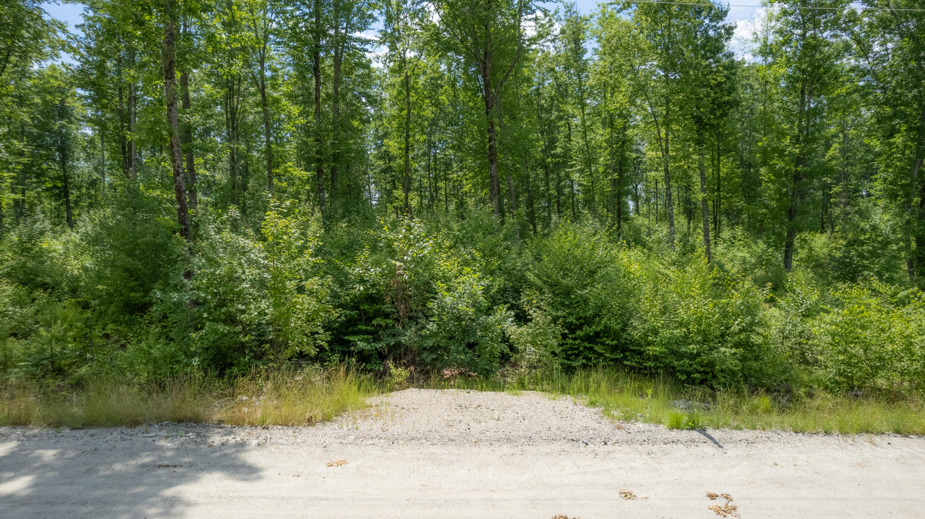 Lot #9 Jordan Heights Road Cornish, ME 04020 - Photo 10 of 20 Cornish Land-3