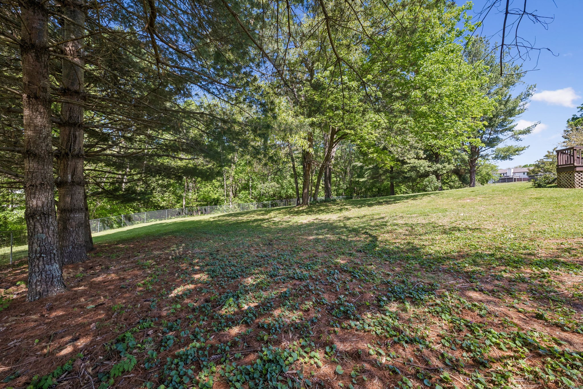 107 Keri Drive Pleasant View, TN 37146 - Photo 36 of 40 a view of outdoor space and yard