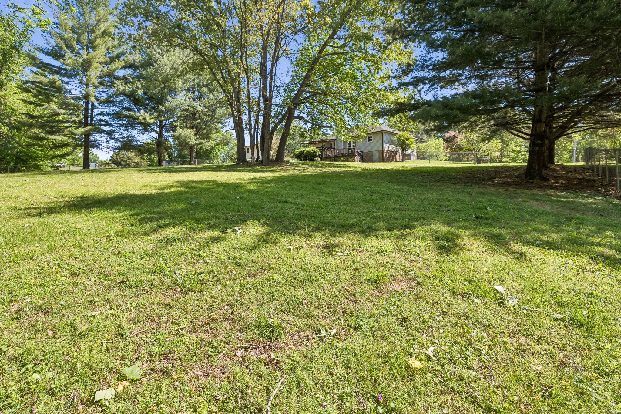 107 Keri Drive Pleasant View, TN 37146 - Photo 37 of 40 a view of yard with trees