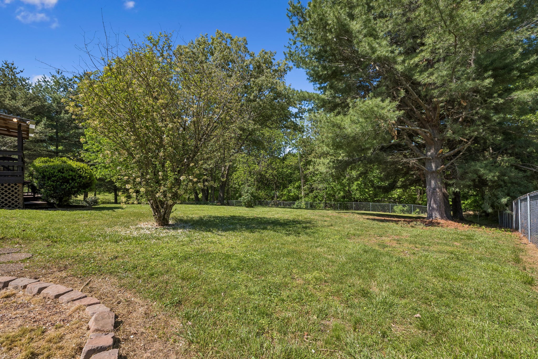 107 Keri Drive Pleasant View, TN 37146 - Photo 39 of 40 a view of a field with trees