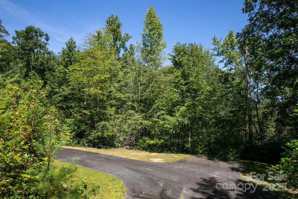 Lot 11 Silver Maple Trail Brevard, NC 28712 - Photo 11 of 21 a view of a street with a tree