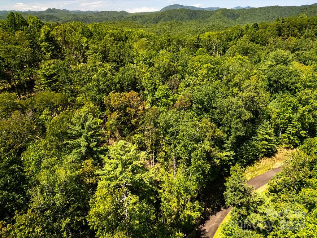 Lot 11 Silver Maple Trail Brevard, NC 28712 - Photo 13 of 21 an aerial view of residential houses with outdoor space and trees