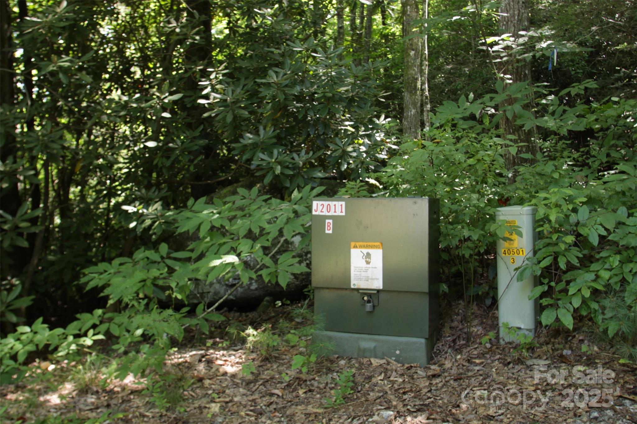 Lot 11 Silver Maple Trail Brevard, NC 28712 - Photo 14 of 21 a view of a back yard