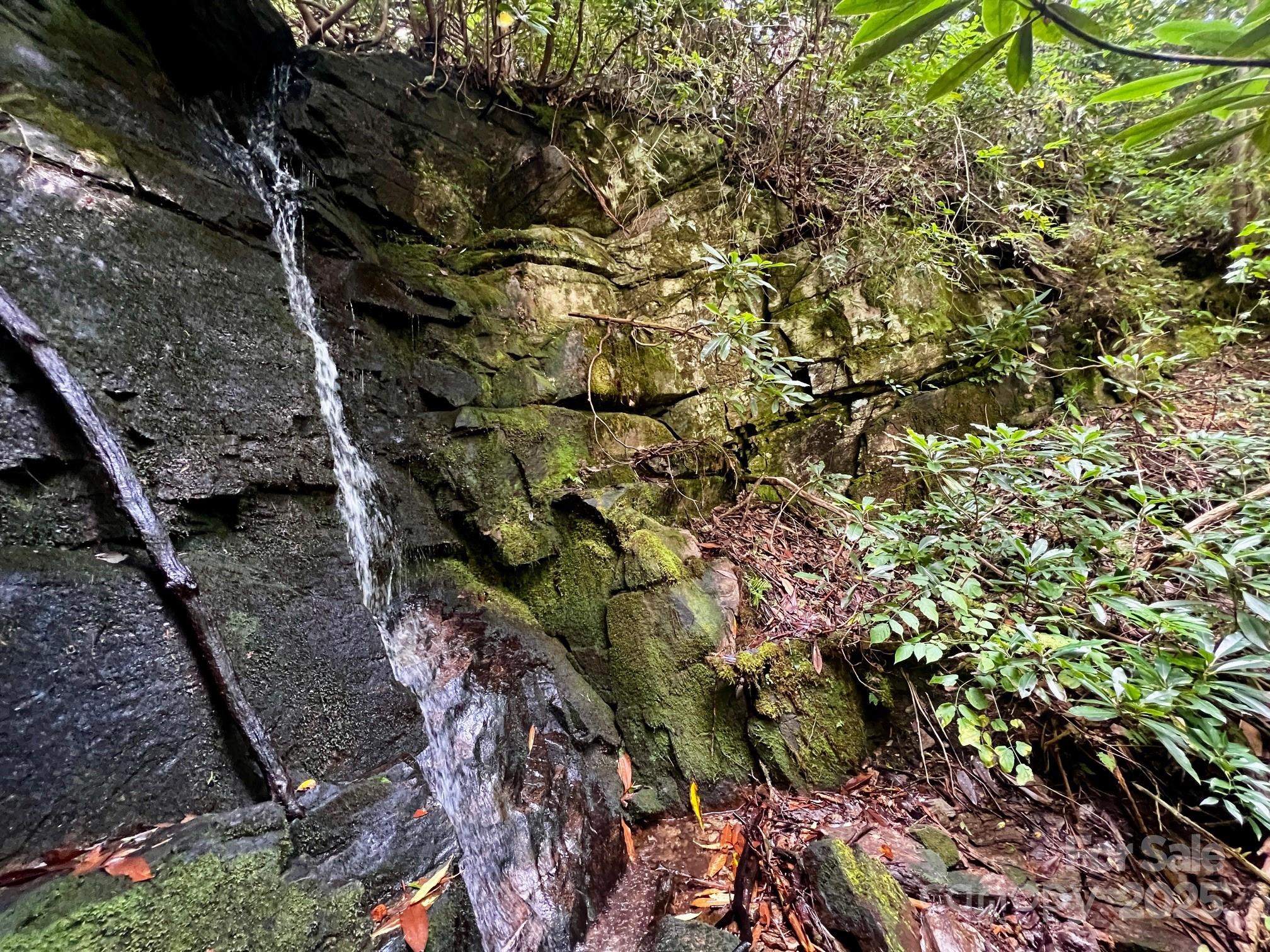 Lot 11 Silver Maple Trail Brevard, NC 28712 - Photo 3 of 21