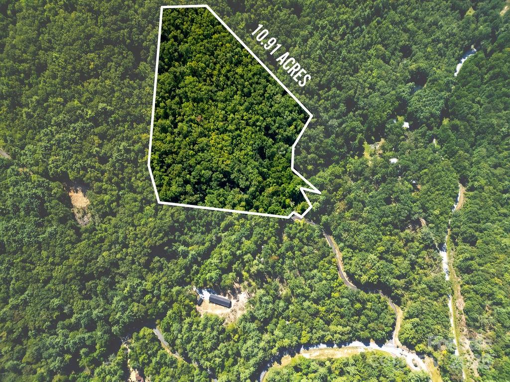 Lot 11 Silver Maple Trail Brevard, NC 28712 - Photo 4 of 21