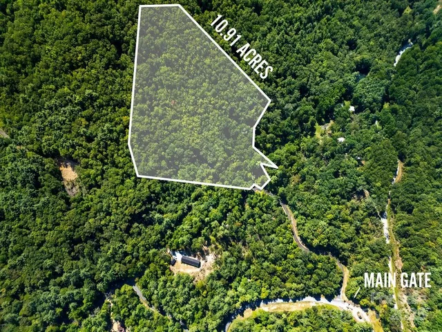 a view of a field of grass and flowers