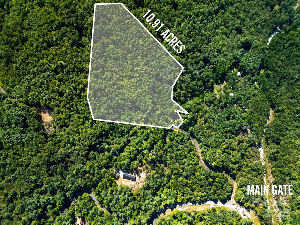 Lot 11 Silver Maple Trail Brevard, NC 28712 - Photo 5 of 21 a view of a garden