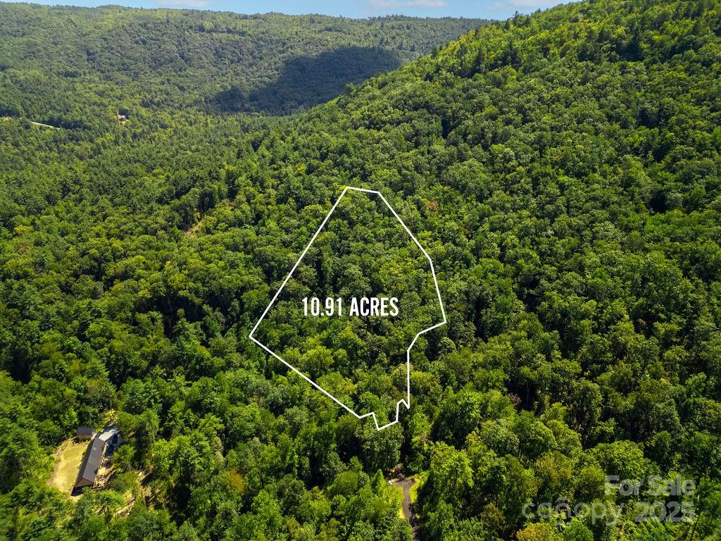 Lot 11 Silver Maple Trail Brevard, NC 28712 - Photo 7 of 21 a view of a field of grass and flowers
