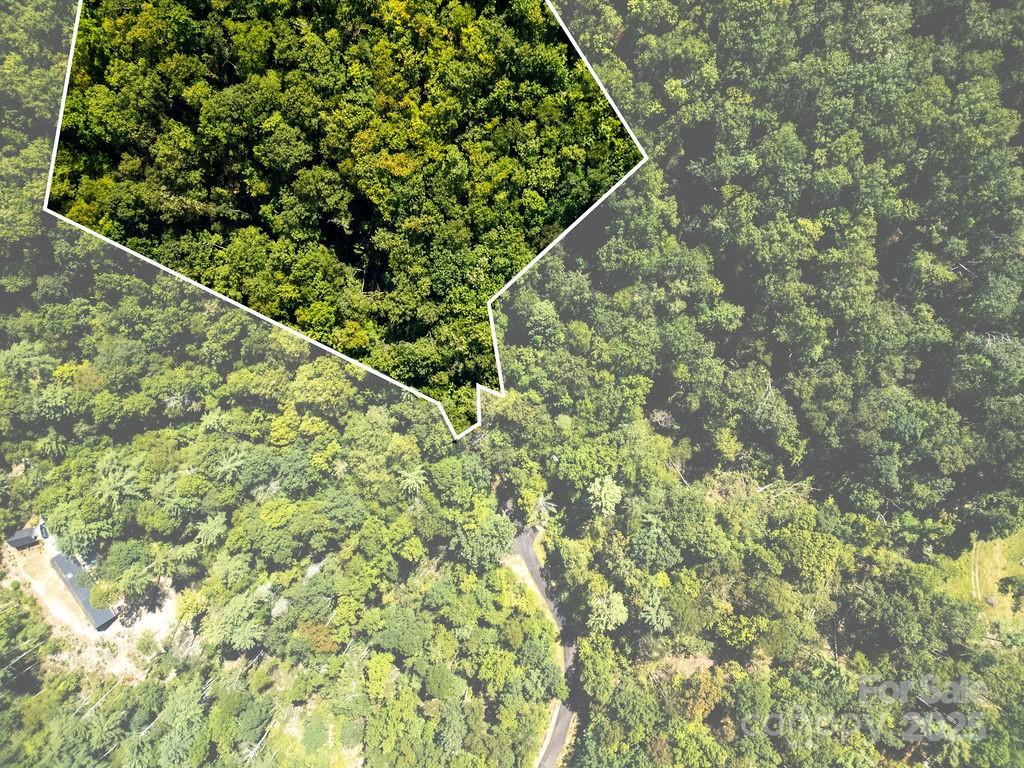 Lot 11 Silver Maple Trail Brevard, NC 28712 - Photo 8 of 21 a backyard of a house with lots of green space