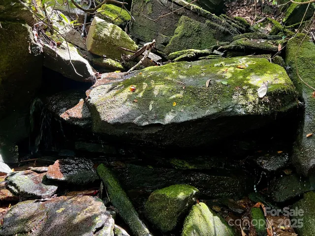 a view of a street with a tree
