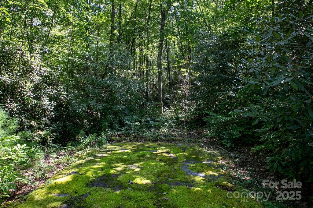 Lot 11 Silver Maple Trail Brevard, NC 28712 - Photo 10 of 21 a view of a lush green forest