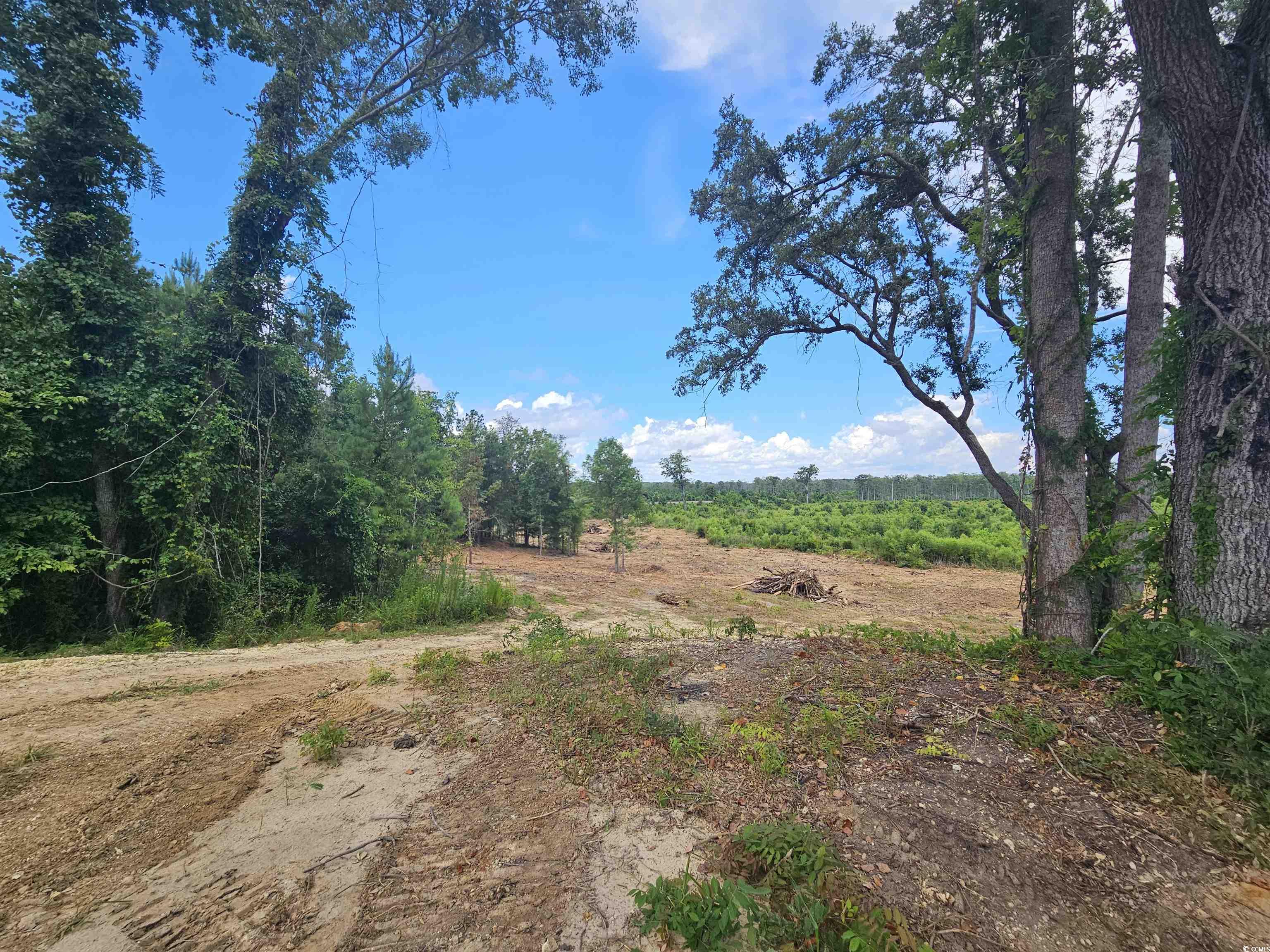 157 Mingo Chandler Road Nesmith, SC 29580 - Photo 1 of 10