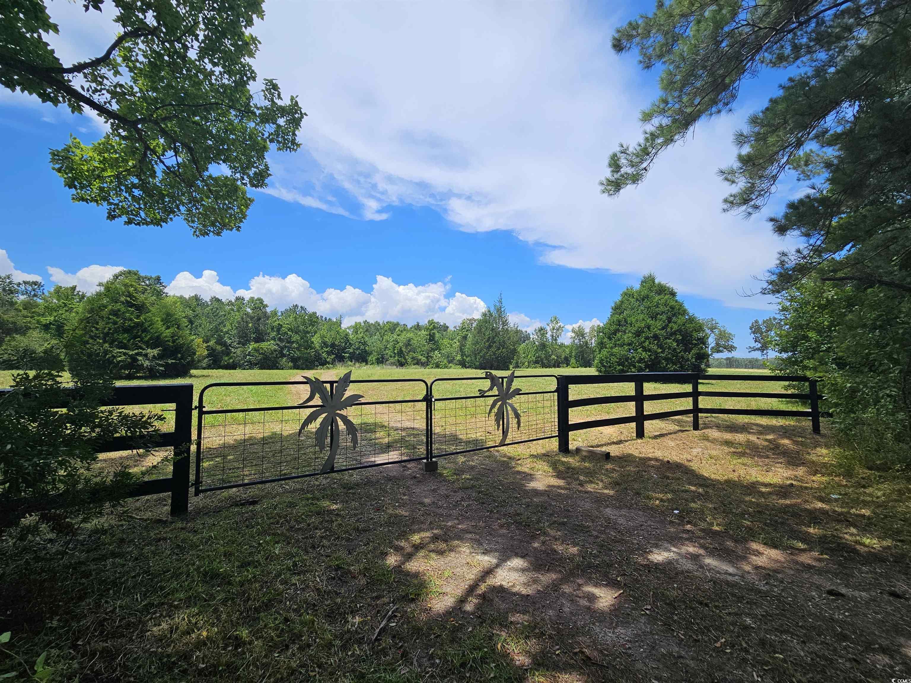 157 Mingo Chandler Road Nesmith, SC 29580 - Photo 2 of 10