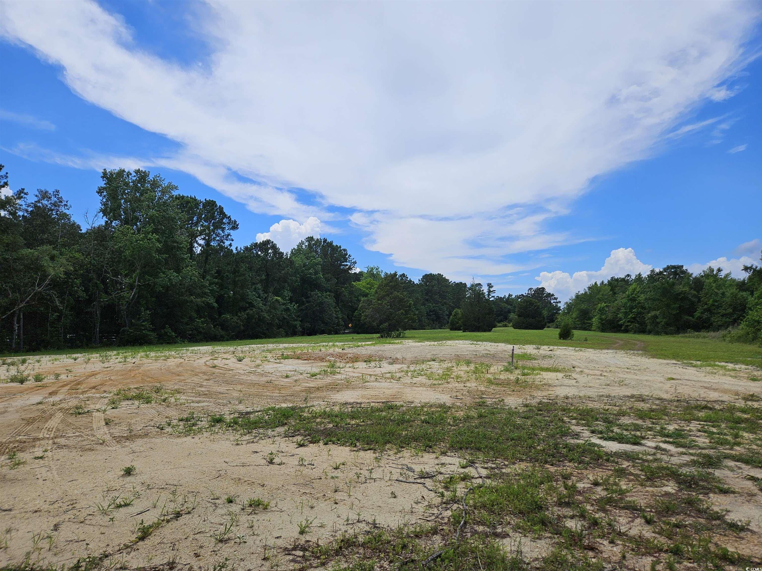 157 Mingo Chandler Road Nesmith, SC 29580 - Photo 3 of 10