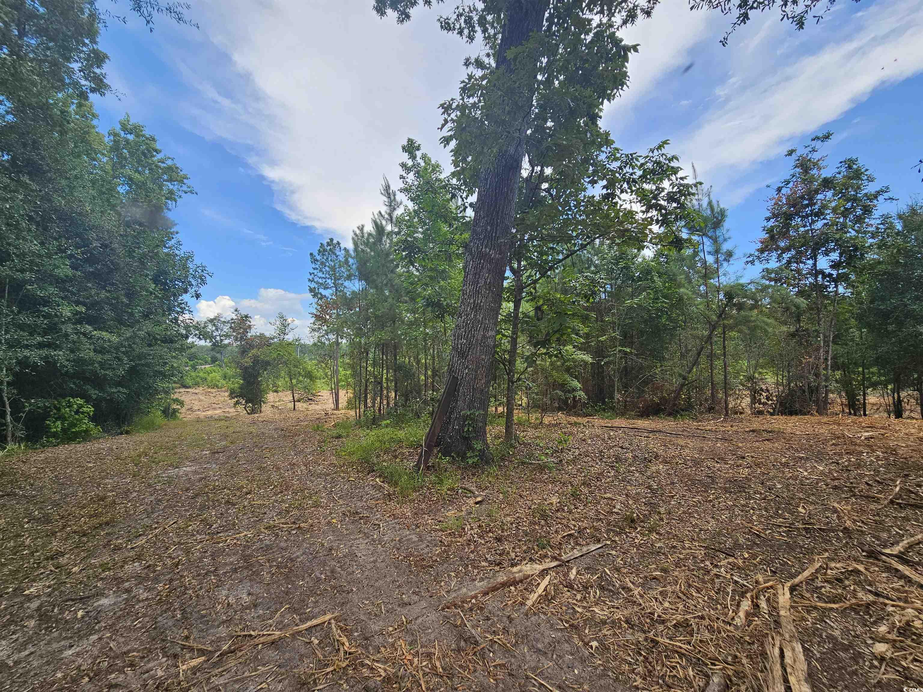 157 Mingo Chandler Road Nesmith, SC 29580 - Photo 4 of 10