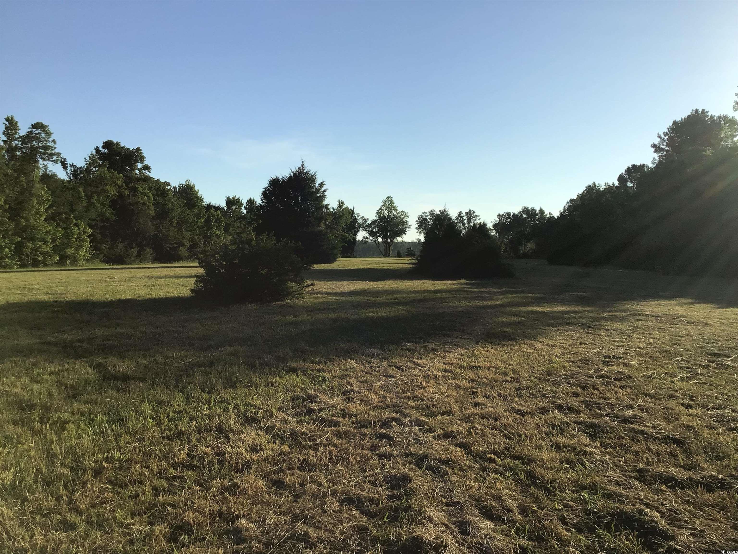 157 Mingo Chandler Road Nesmith, SC 29580 - Photo 7 of 10