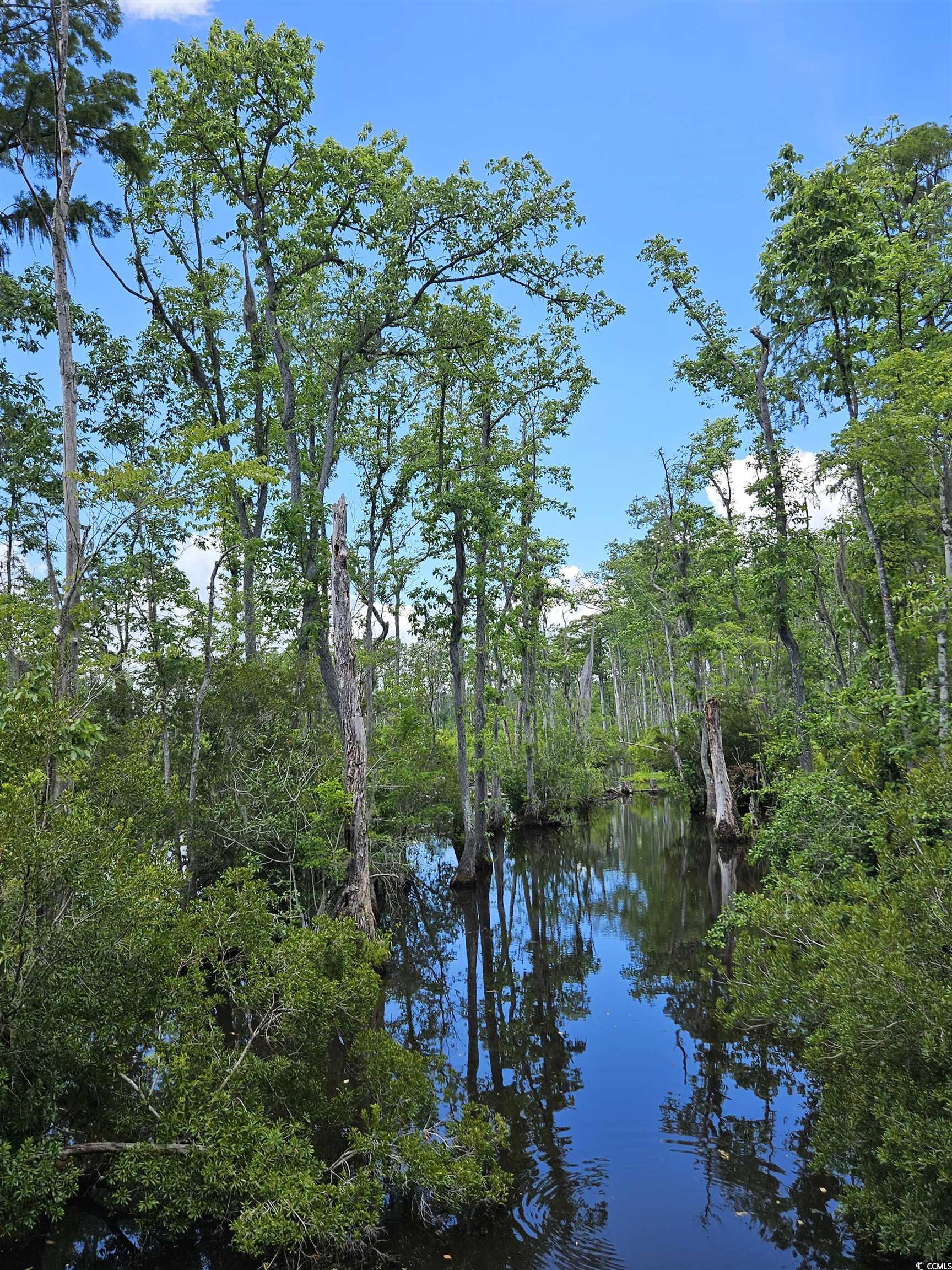 157 Mingo Chandler Road Nesmith, SC 29580 - Photo 10 of 10