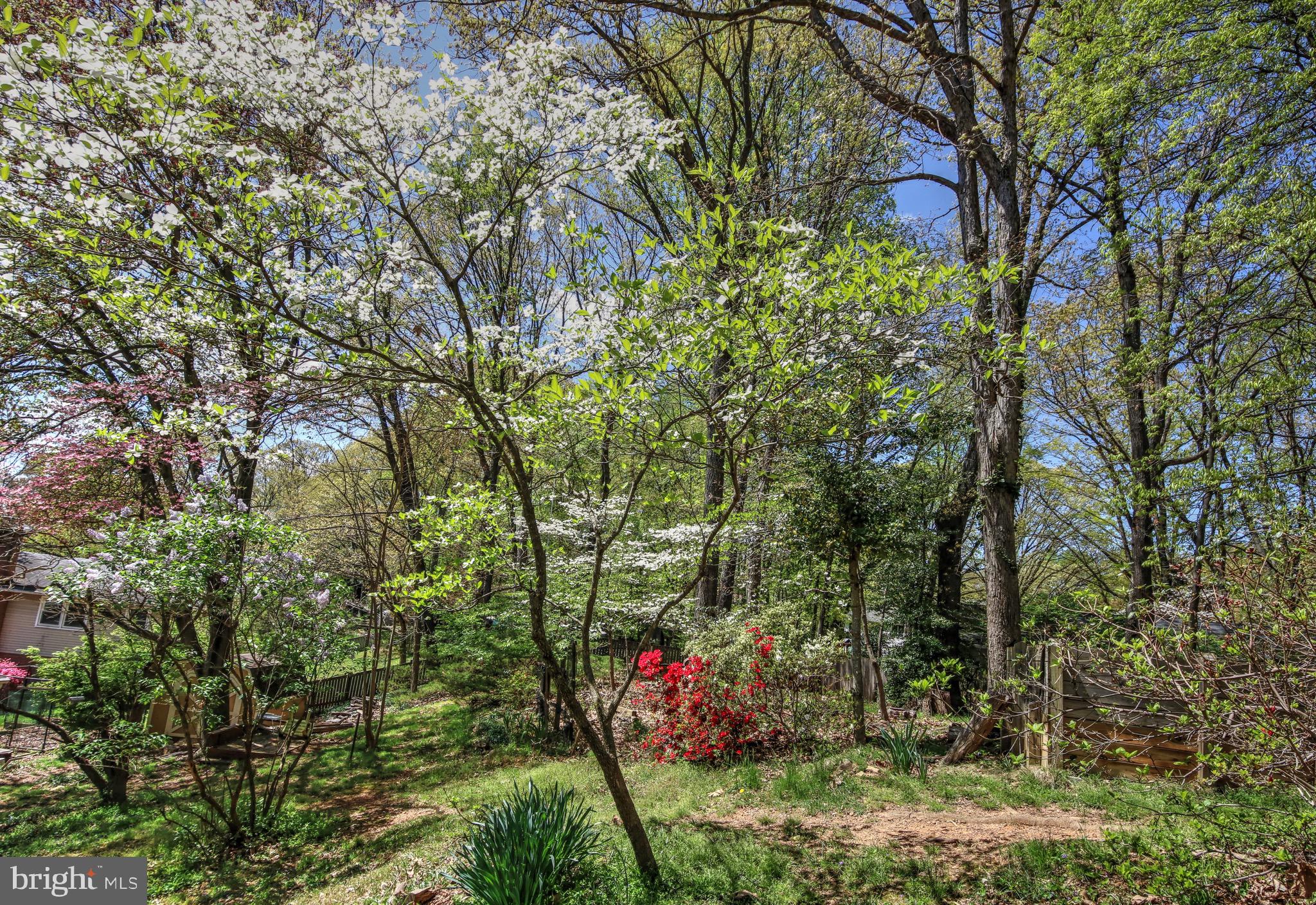 2302 Tanglevale Drive Vienna, VA 22181 - Photo 20 of 60 This yard provides so many opportunities