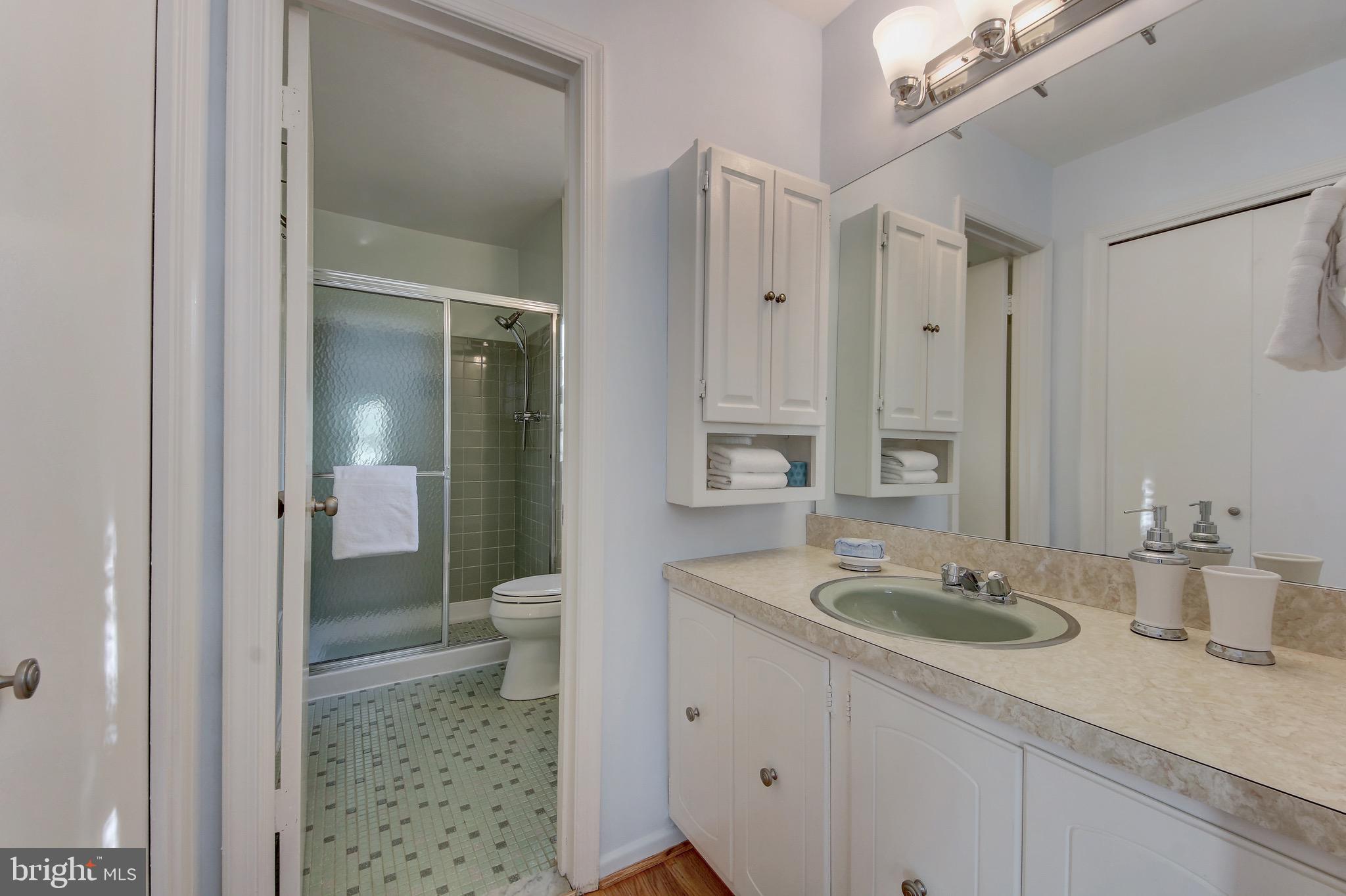 2302 Tanglevale Drive Vienna, VA 22181 - Photo 26 of 60 En suite bath