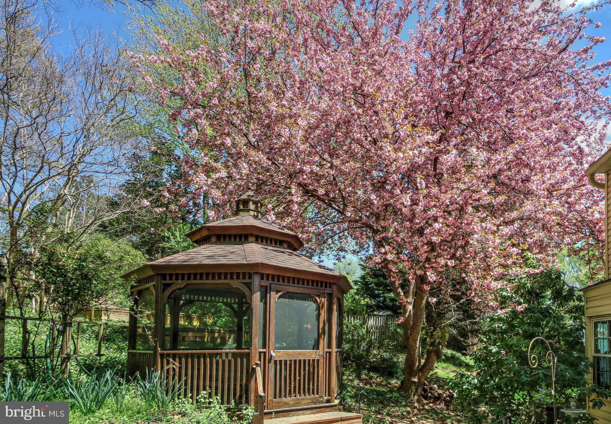 2302 Tanglevale Drive Vienna, VA 22181 - Photo 35 of 60 Your own Gazebo!