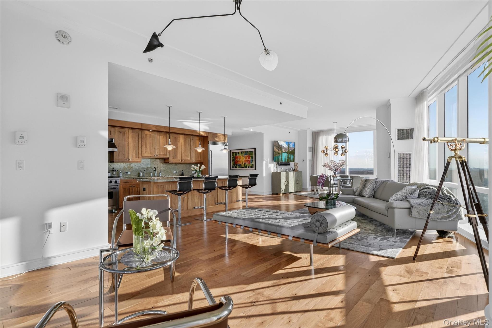 5 Renaissance Square, Unit PH6C White Plains, NY 10601 - Photo 20 of 50