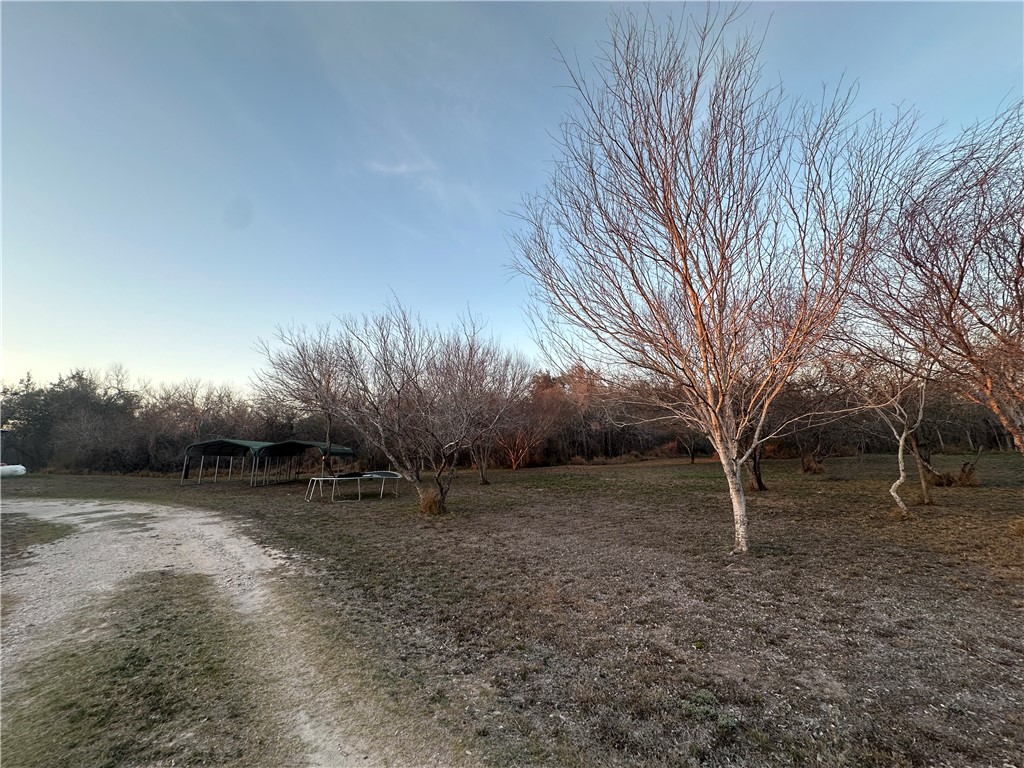 1900 Viggo Road Beeville, TX 78102 - Photo 7 of 10 a view of outdoor space with trees