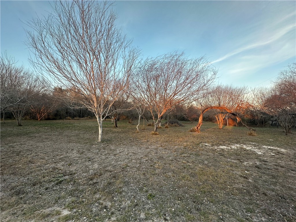 1900 Viggo Road Beeville, TX 78102 - Photo 8 of 10 a view of a yard with a fountain