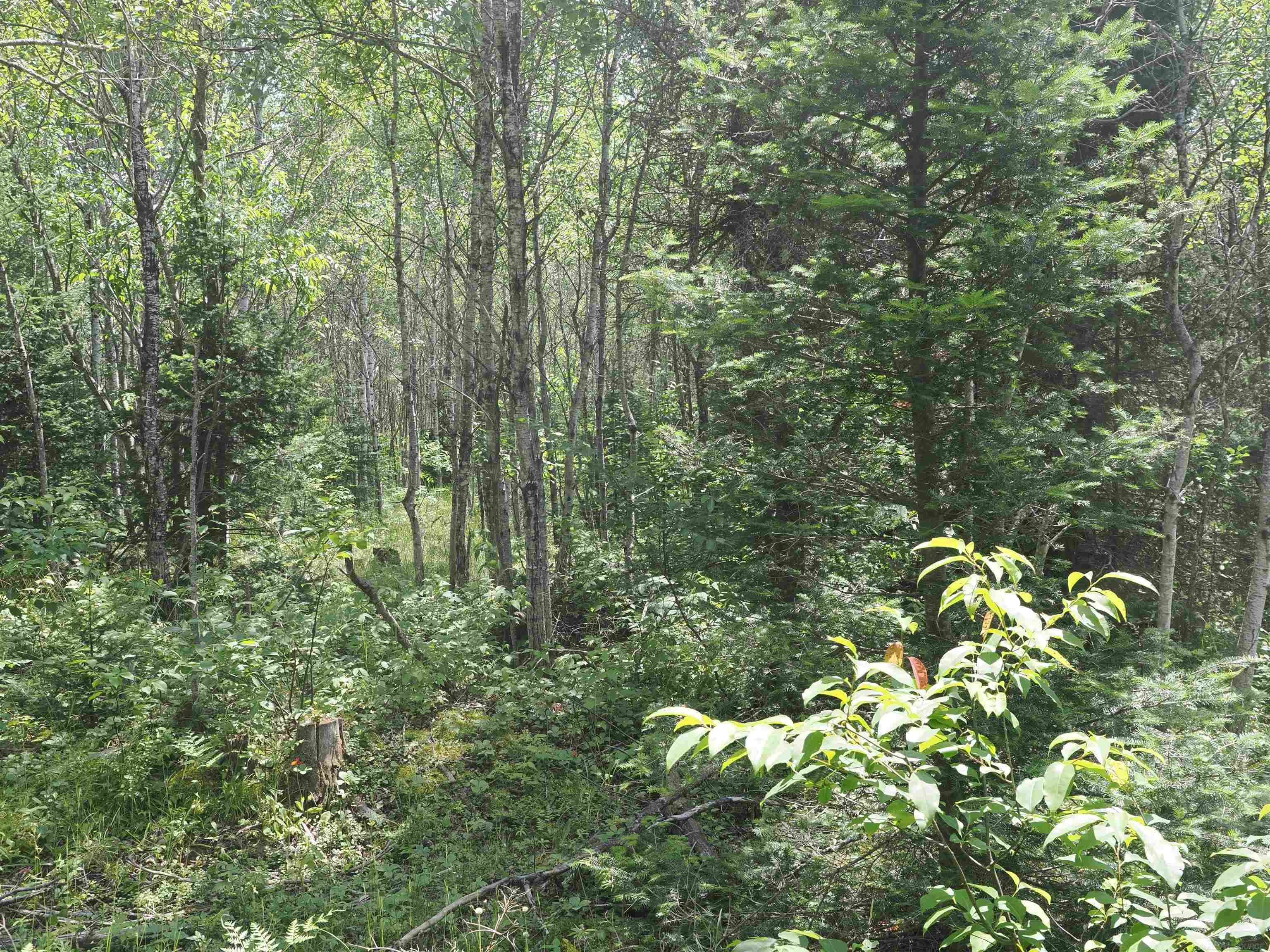 0 County Road Ishpeming, MI 49849 - Photo 27 of 85
