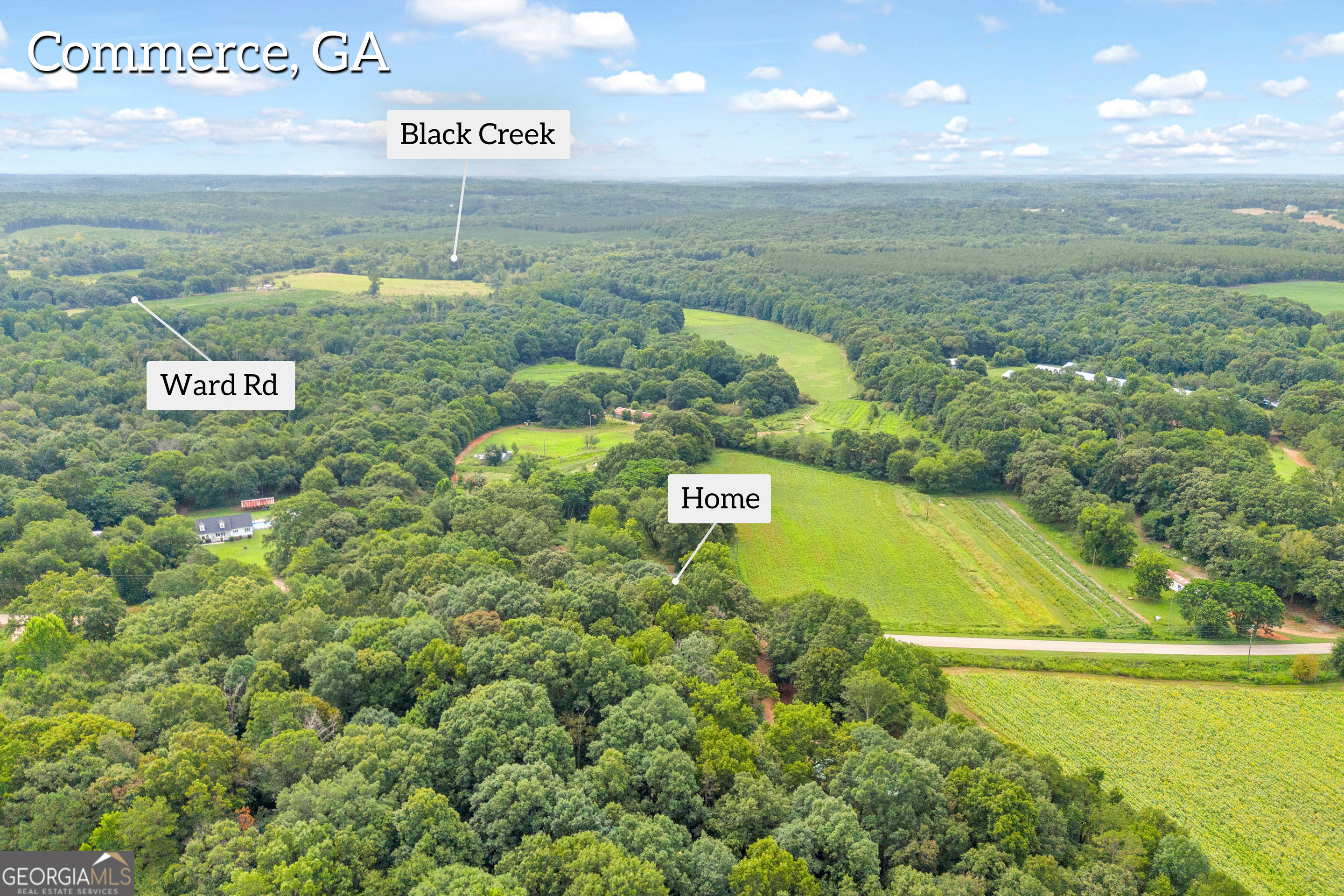 1690 Fort Lamar Road Commerce, GA 30530 - Photo 48 of 50