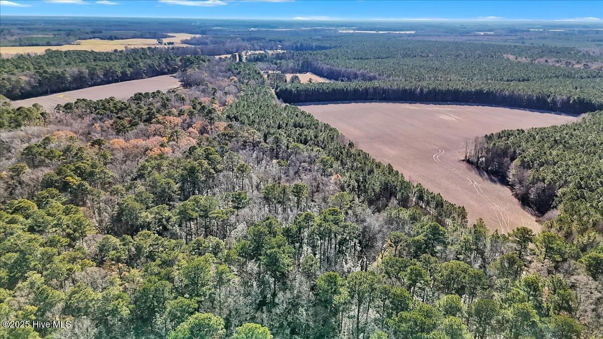 1218-1217 Ellenor Road Gates, NC 27937 - Photo 6 of 15 06-DJI_20251222111430_0108_D