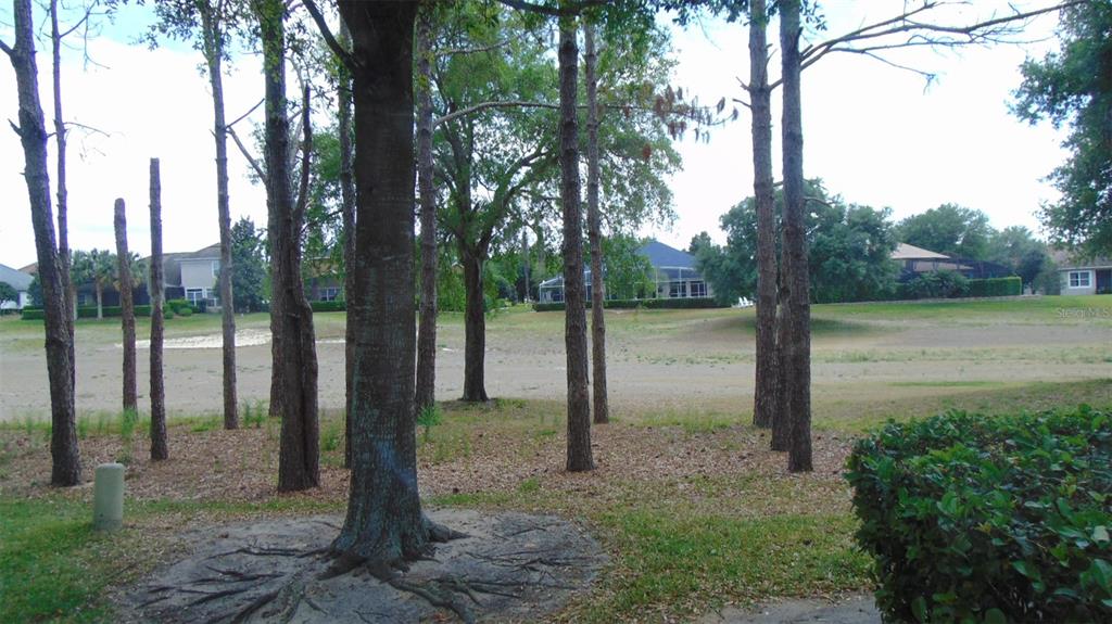 3807 Beacon Ridge Way Clermont, FL 34711 - Photo 2 of 15