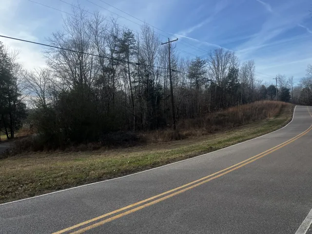 a view of a yard and tree