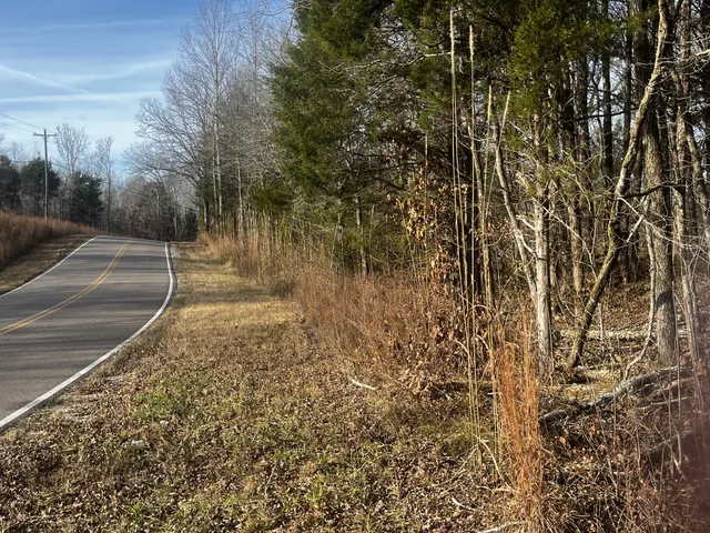 a view of outdoor space and garden