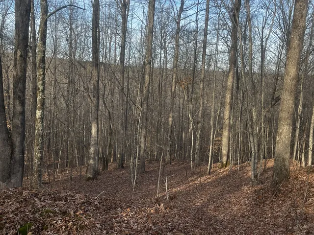 $278,725 | 1 Old State Highway 69, Sugar Tree, TN 38380