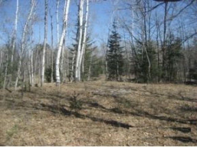 2907n Highway 51 Mercer, WI 54547 - Photo 8 of 9 Gallery Image 8