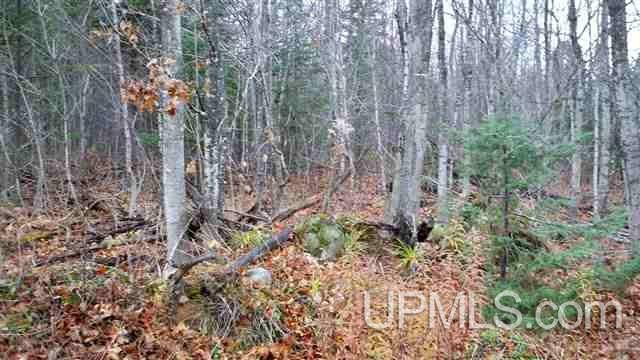Tbd Harbor View Munising, MI 49862 - Photo 1 of 1 Gallery Image 1