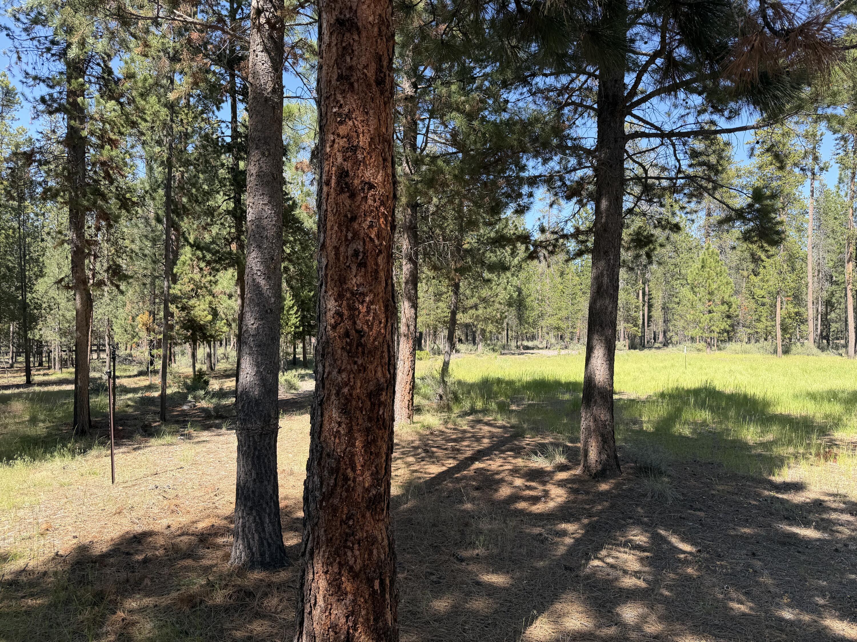 15740 Cornell Road La Pine, OR 97739 - Photo 49 of 54 IMG_2554