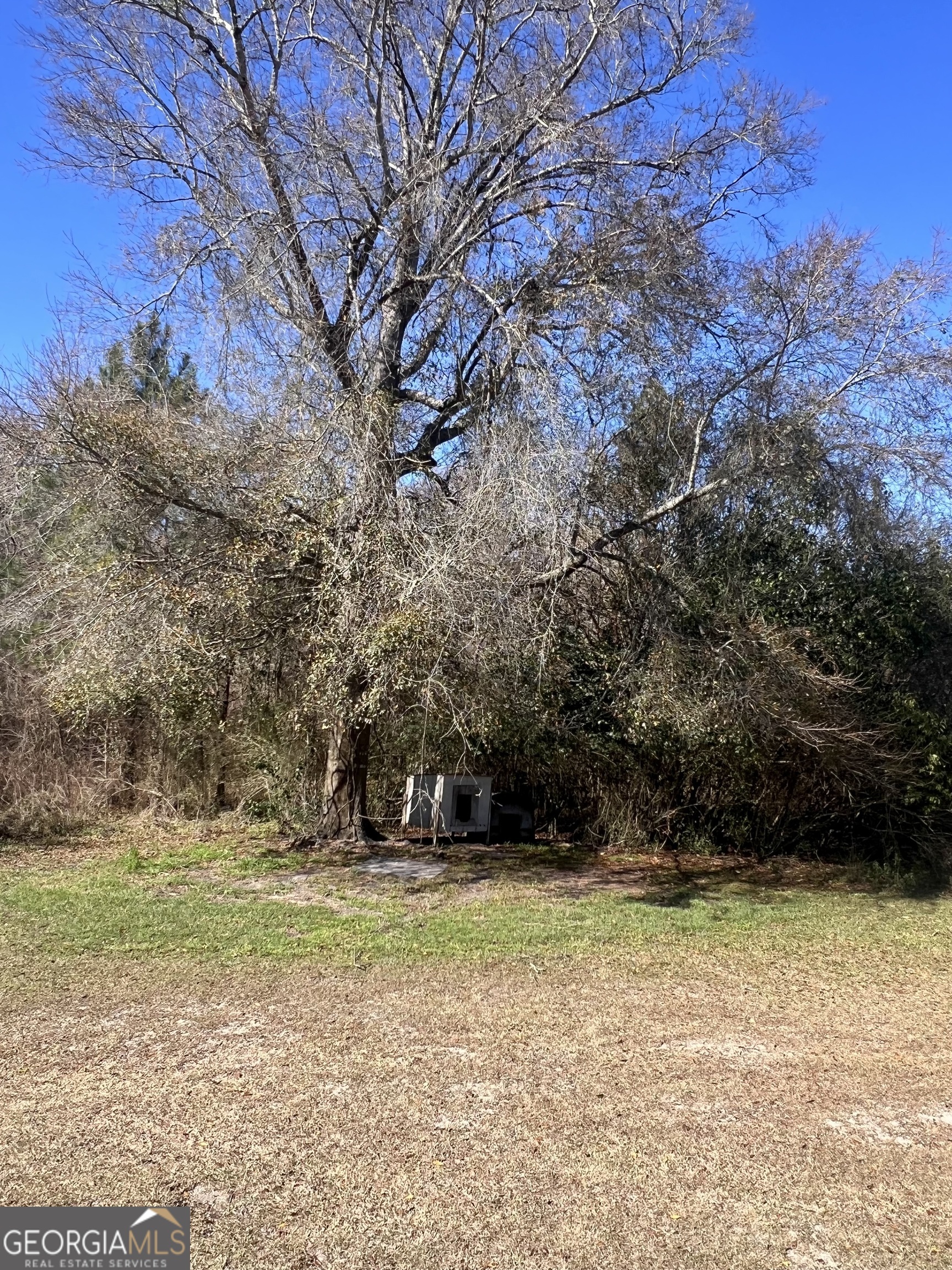 141 Shady Oaks Road Eastman, GA 31023 - Photo 7 of 26 a view of backyard of house