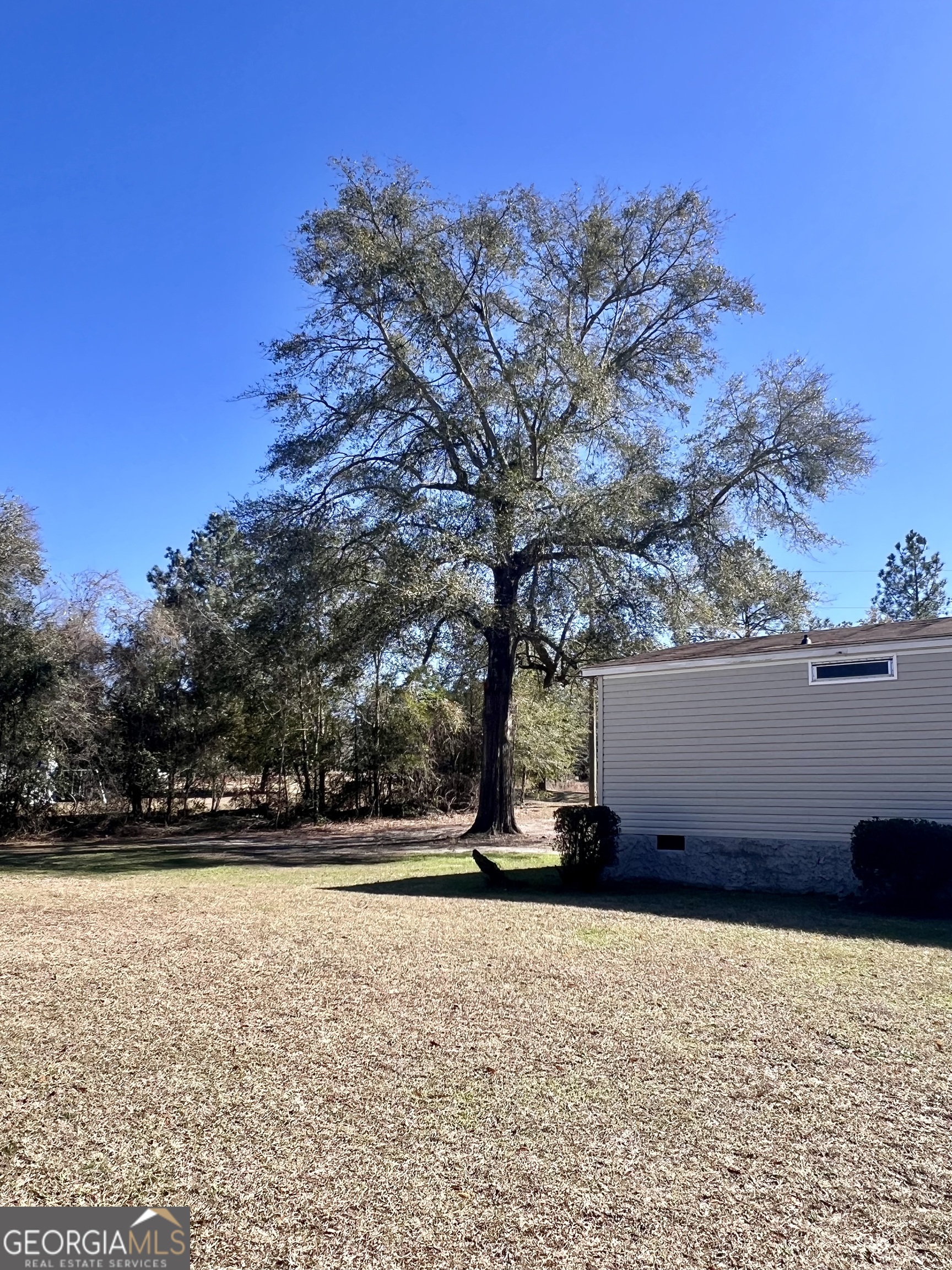 141 Shady Oaks Road Eastman, GA 31023 - Photo 9 of 26 a view of outdoor space