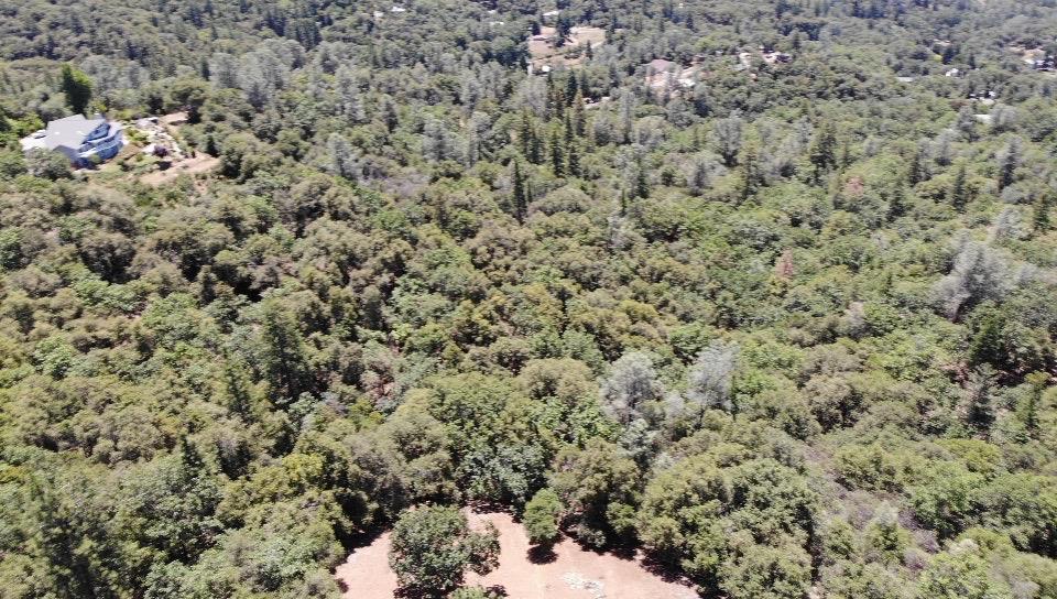 0 Bowman Road Pine Grove, CA 95665 - Photo 24 of 30