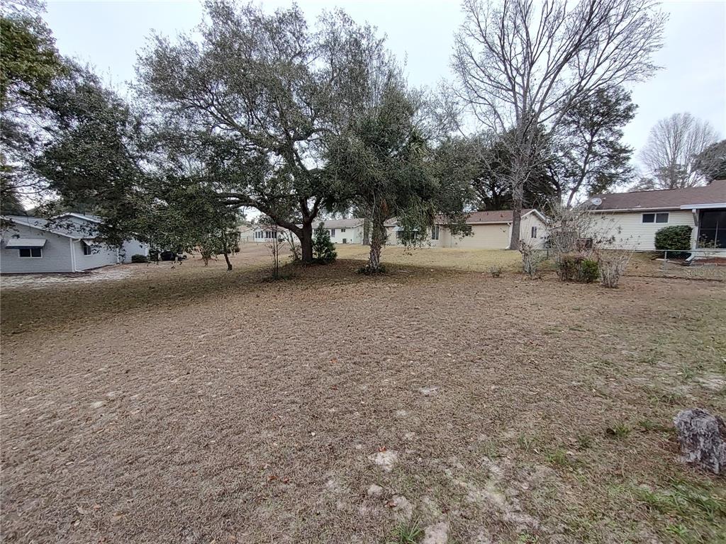 8435 Southwest 109th Lane Ocala, FL 34481 - Photo 28 of 28 a view of a tree in the middle of a yard
