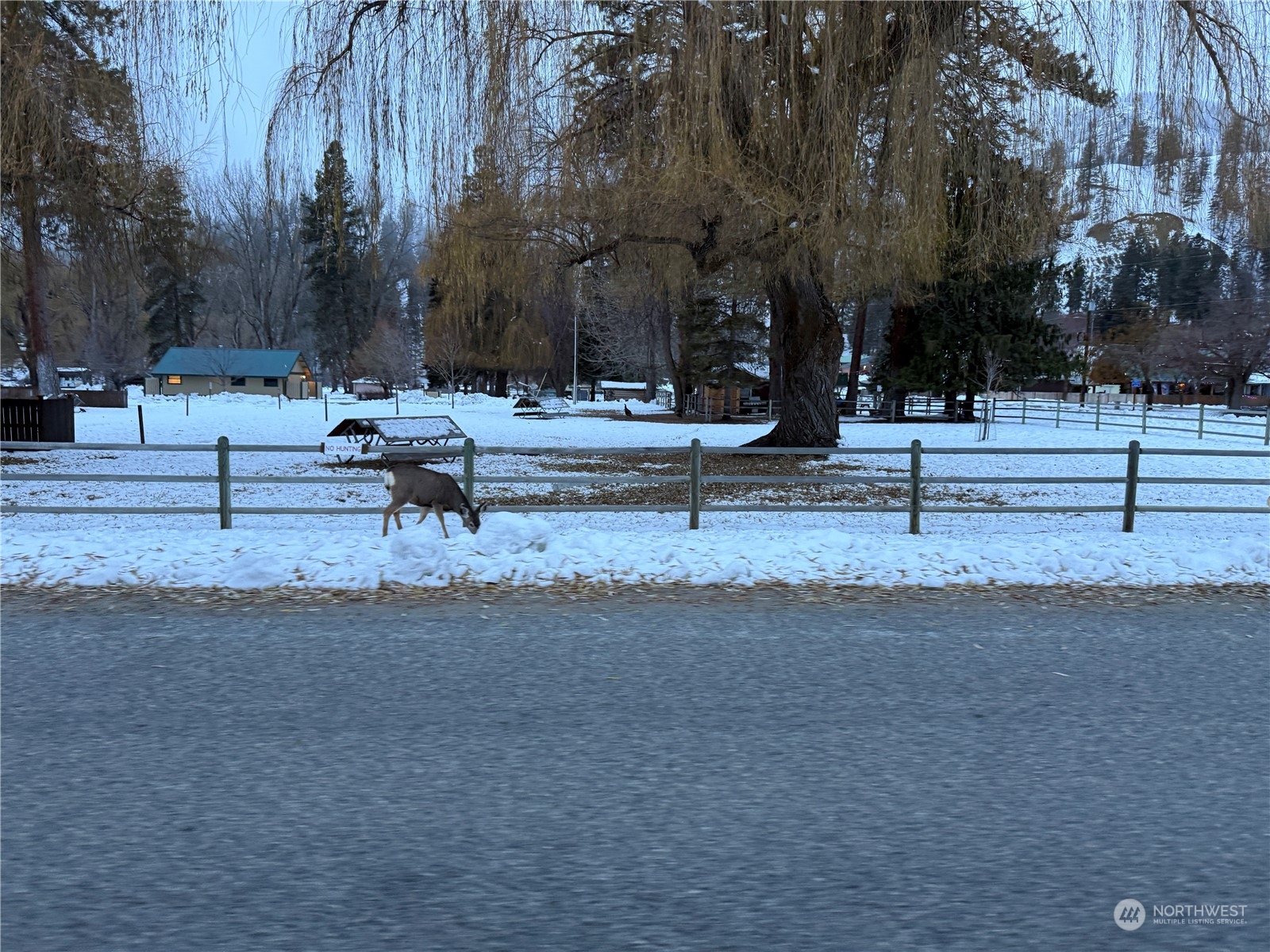 -xx5 North Main Street Conconully, WA 98819 - Photo 12 of 35