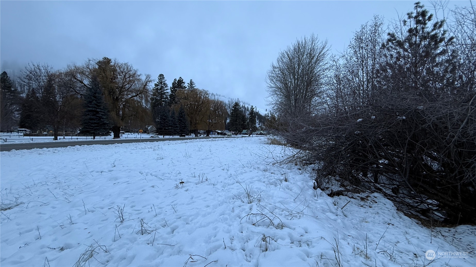 -xx5 North Main Street Conconully, WA 98819 - Photo 22 of 35 a view of outdoor space with trees
