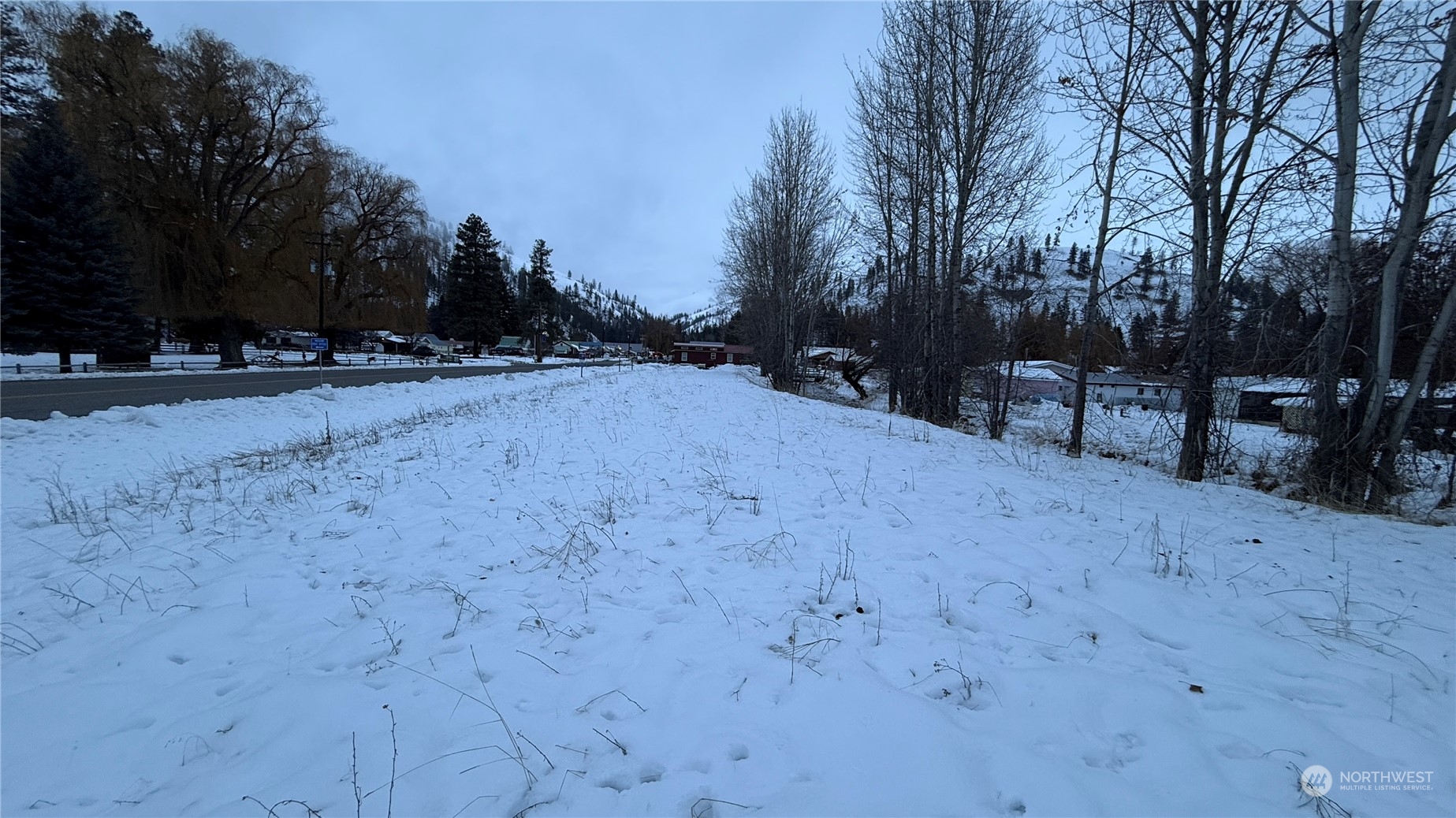 -xx5 North Main Street Conconully, WA 98819 - Photo 25 of 35 a view of outdoor space with trees