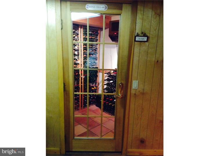 16 Indian Run Road Princeton Junction, NJ 08550 - Photo 22 of 25 Wine Cellar