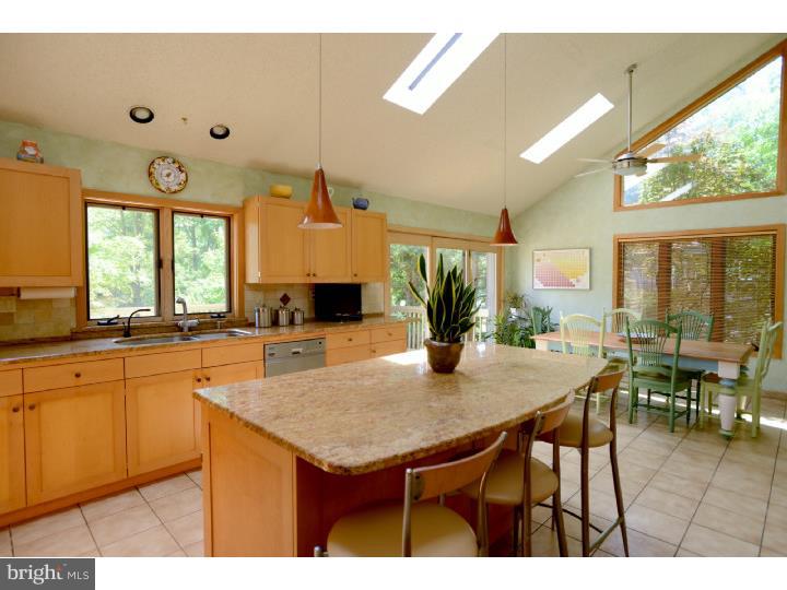 16 Indian Run Road Princeton Junction, NJ 08550 - Photo 7 of 25 Kitchen