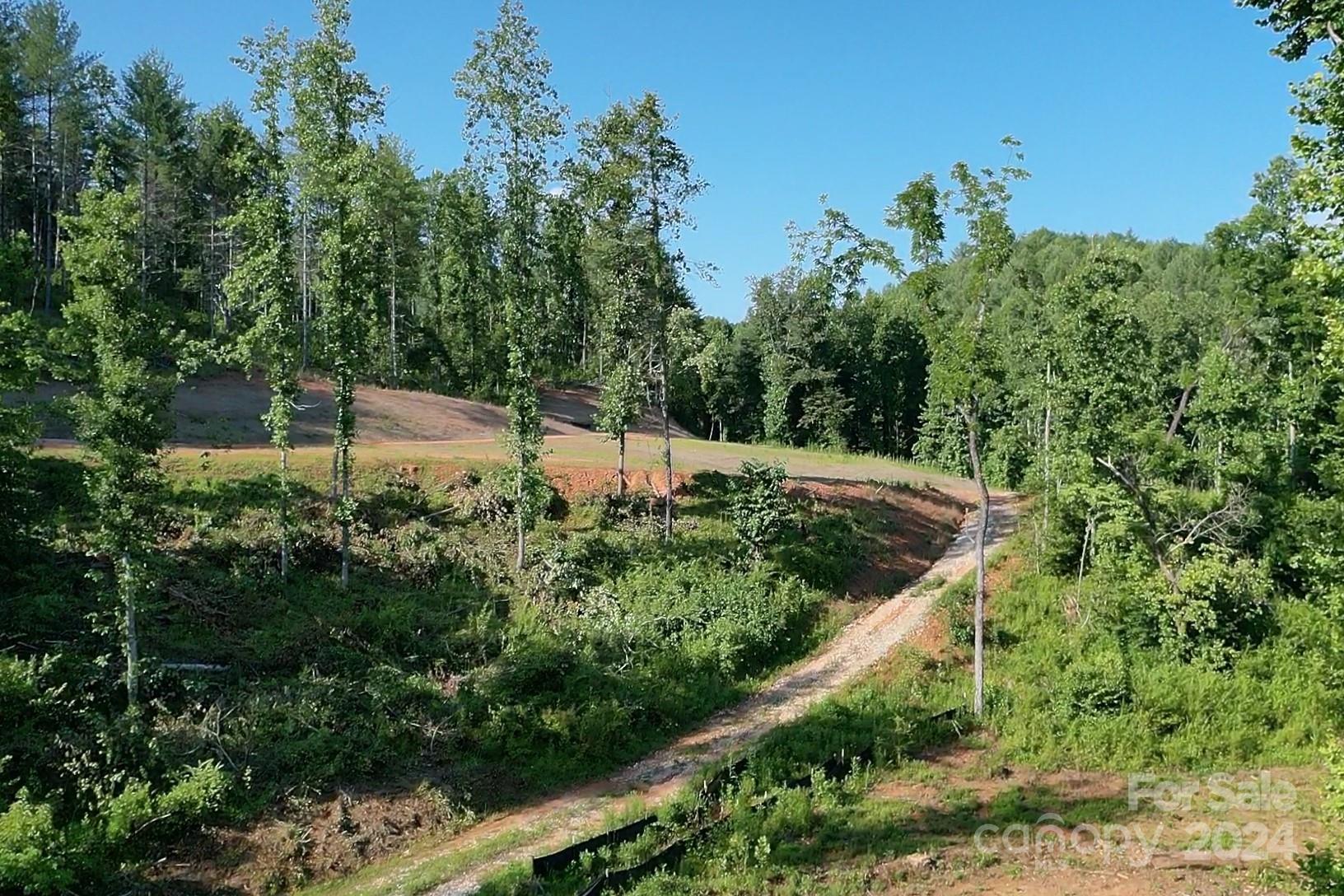 6121 Adako Road Lenoir, NC 28645 - Photo 3 of 21 Gallery Image 3