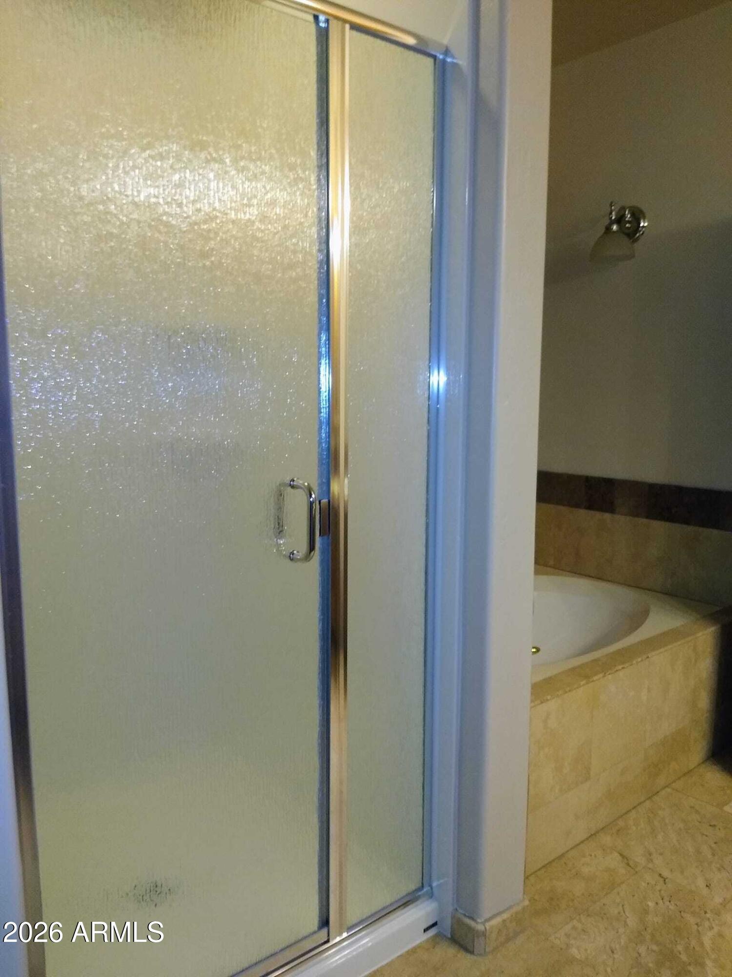 242 North Pima Road Buckeye, AZ 85326 - Photo 15 of 21 Master bath shower